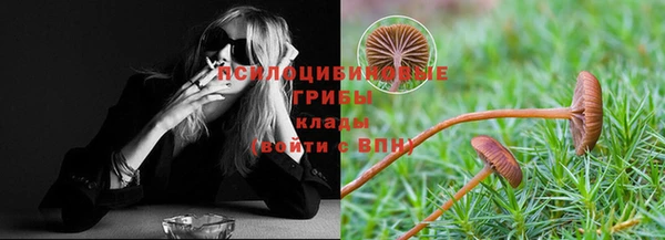 apvp Баксан