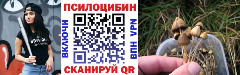 Галлюциногенные грибы мицелий Нижний Ломов